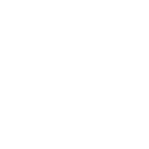 diamond icon